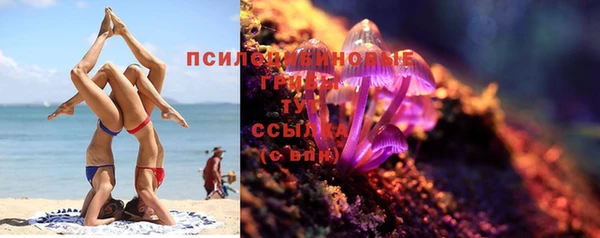 PSILOCYBIN Верея