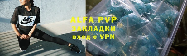PSILOCYBIN Верея