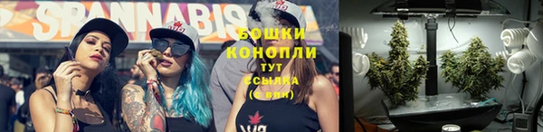шишки Верхнеуральск