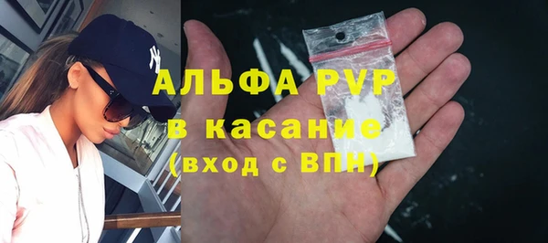 PSILOCYBIN Верея