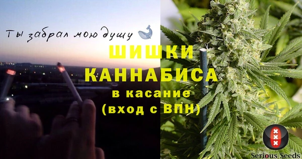 PSILOCYBIN Верея