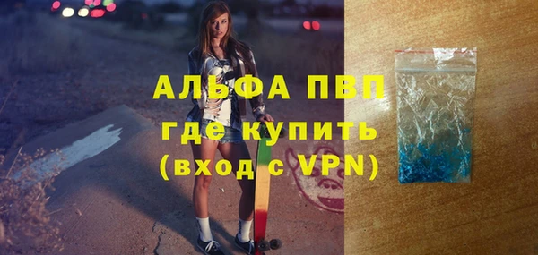 PSILOCYBIN Верея
